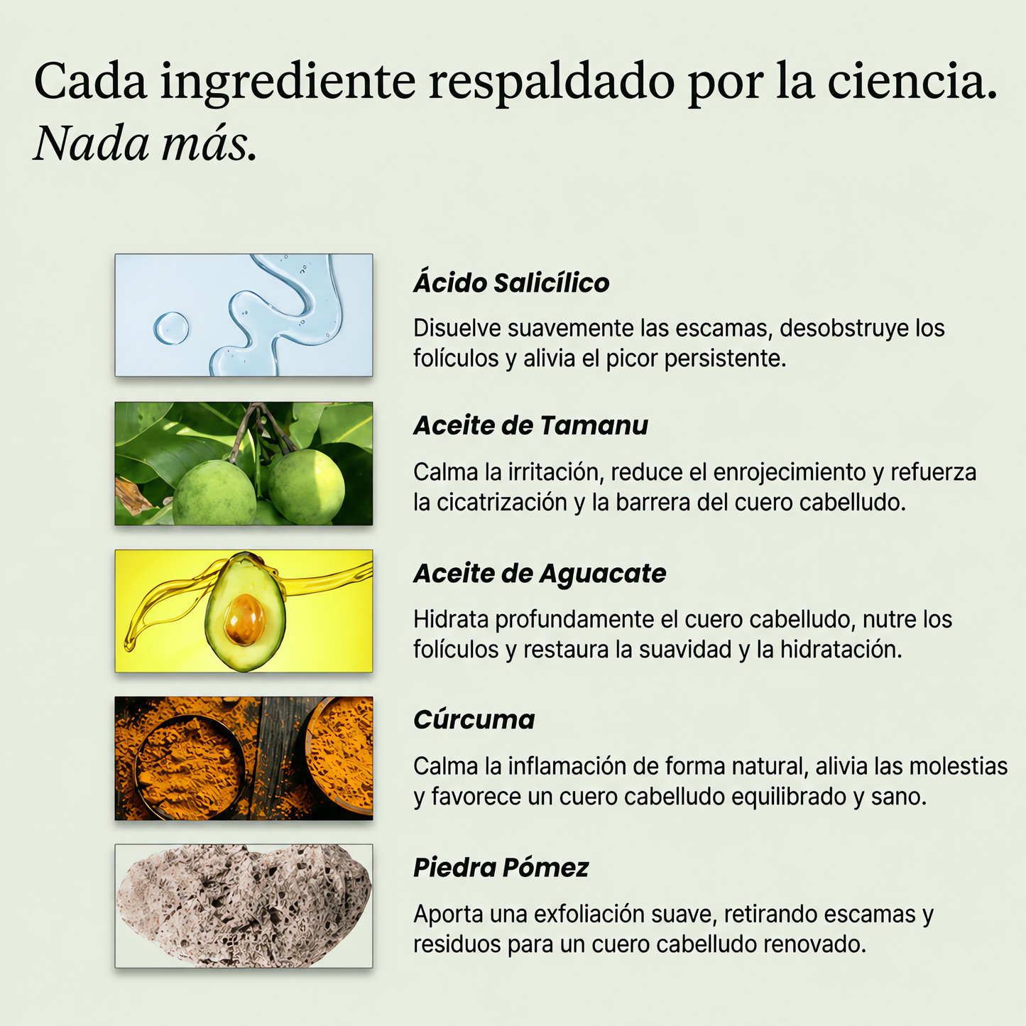Exfoliante Capilar Natural Hoegoa