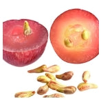 Extracto de Semilla de Uva